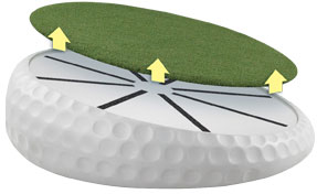 Interchangeable Replacement Turf